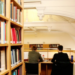 Two people working at a library desk, shown from behind and flanked by bookshelves.